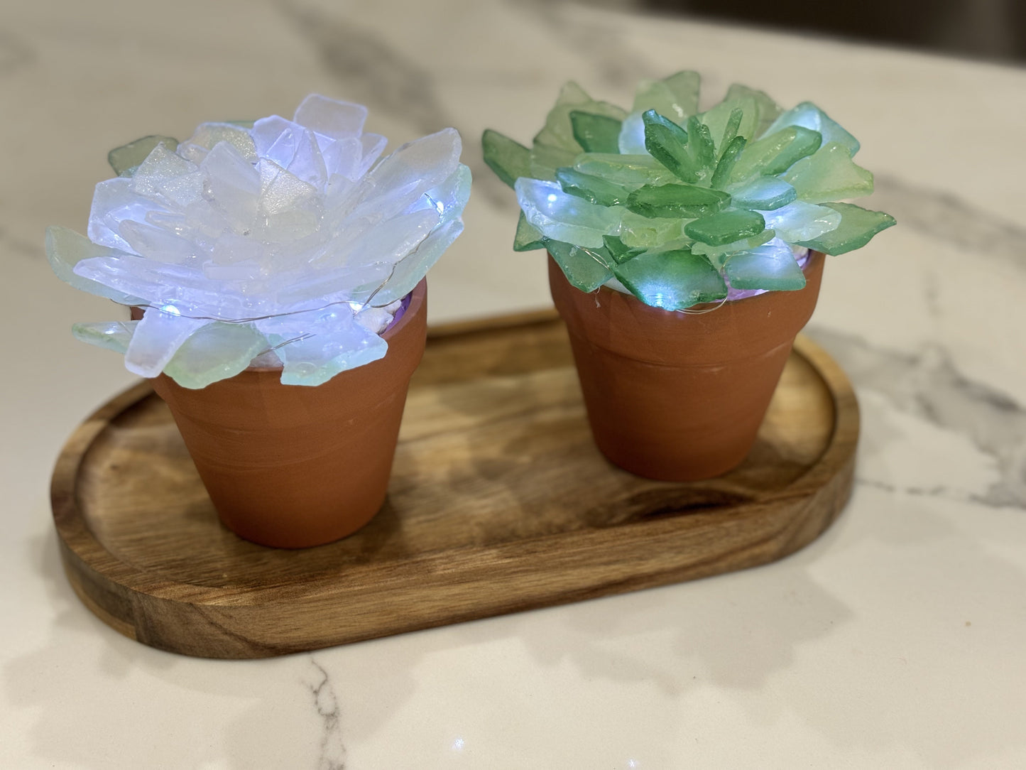 08/12 6pm Sea Glass Succulents or Sea Glass Tree Workshop