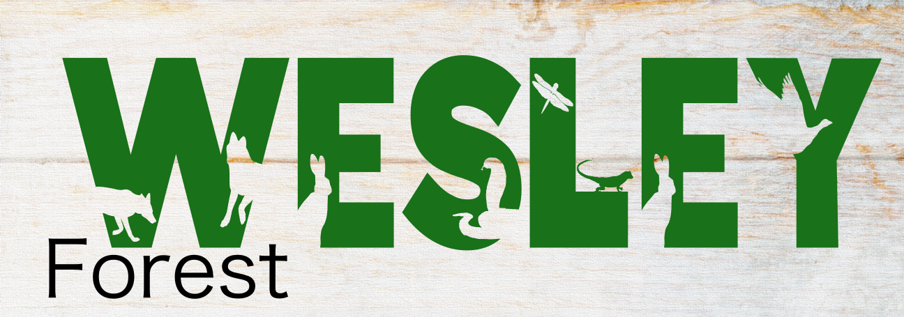 04/18 4:30pm Maahi's Birthday