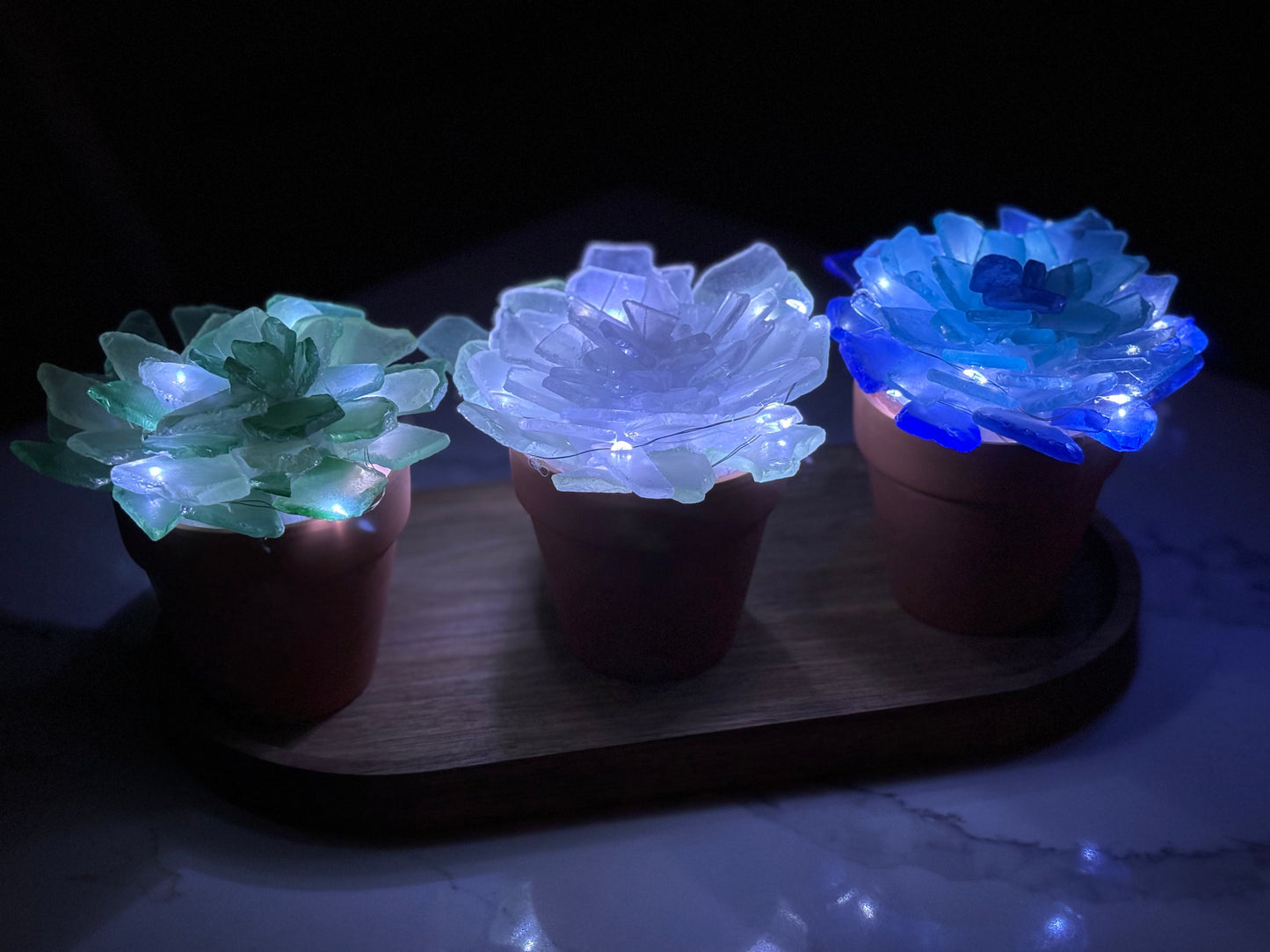 08/12 6pm Sea Glass Succulents or Sea Glass Tree Workshop