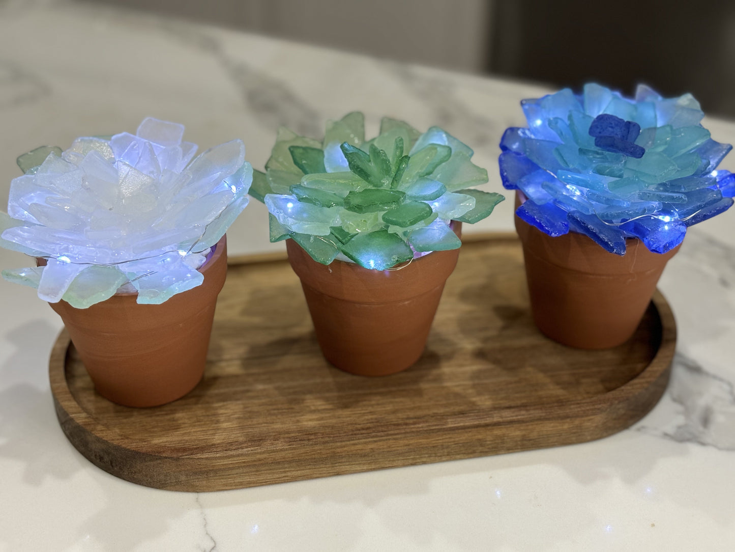 08/12 6pm Sea Glass Succulents or Sea Glass Tree Workshop