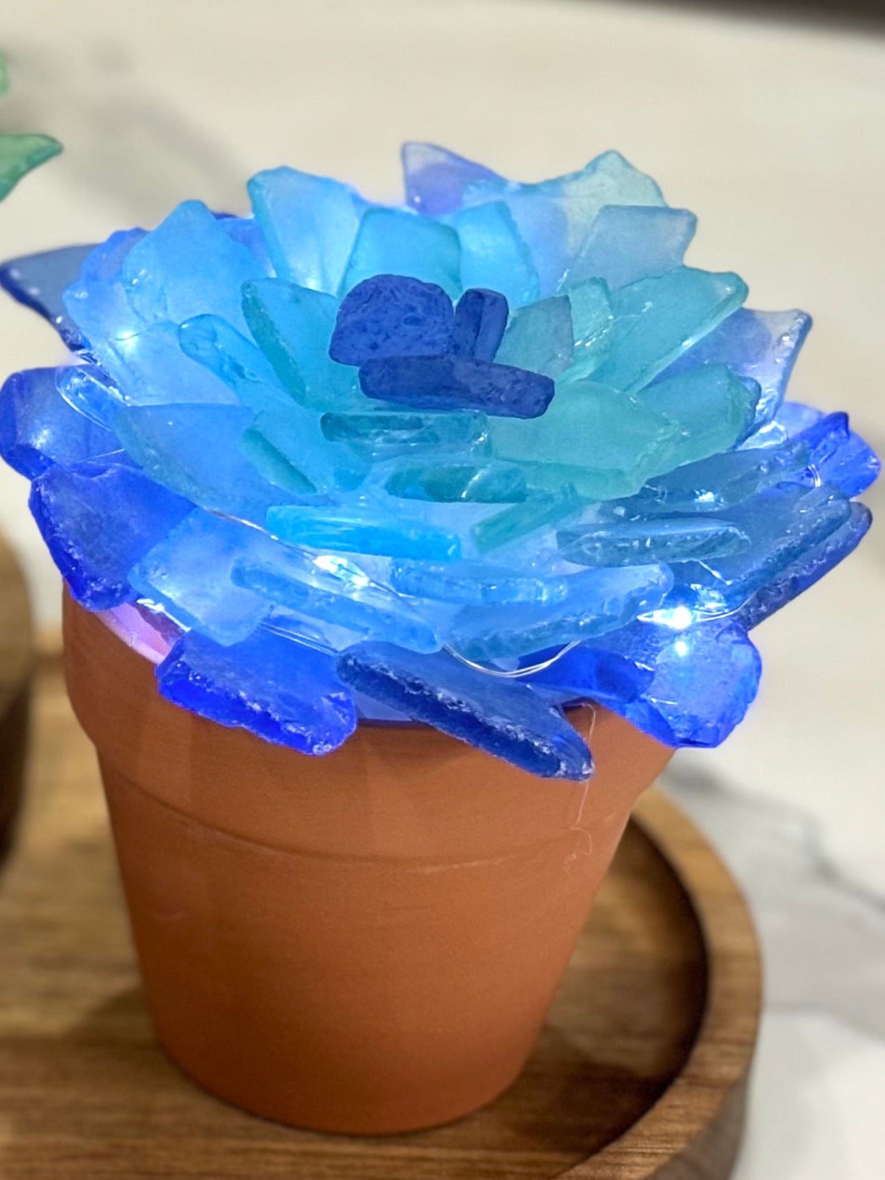 08/12 6pm Sea Glass Succulents or Sea Glass Tree Workshop