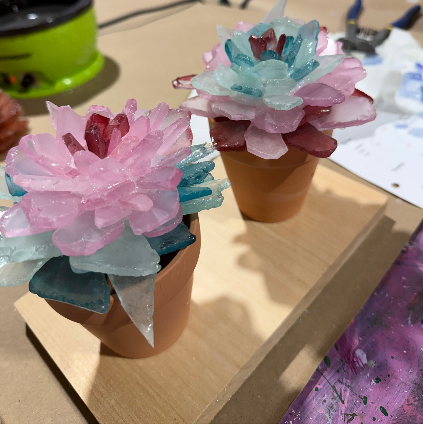 06/17/2026 6pm Wednesday Sea Glass Succulents/Tree Workshop
