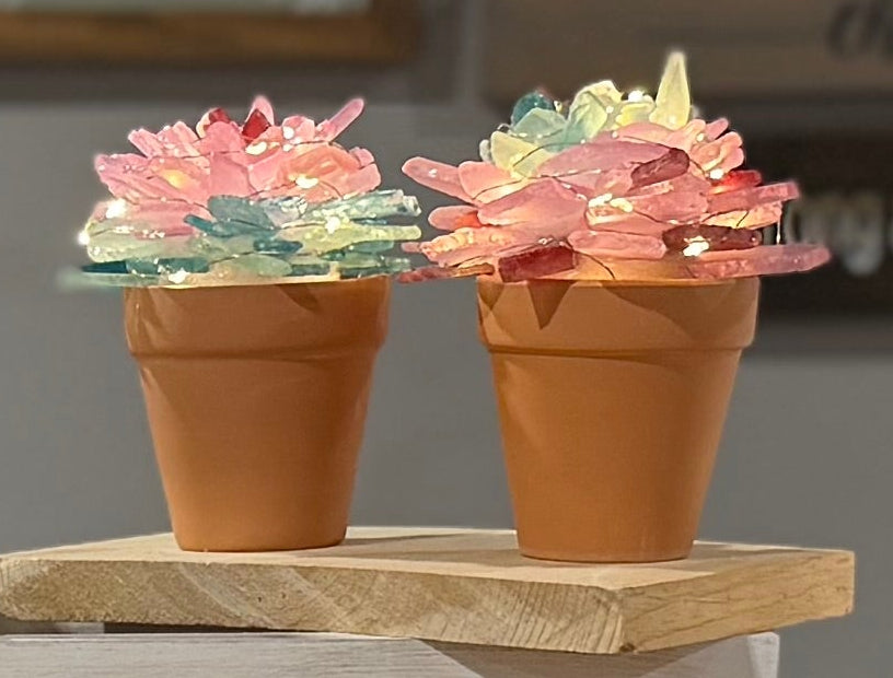 06/17/2026 6pm Wednesday Sea Glass Succulents/Tree Workshop