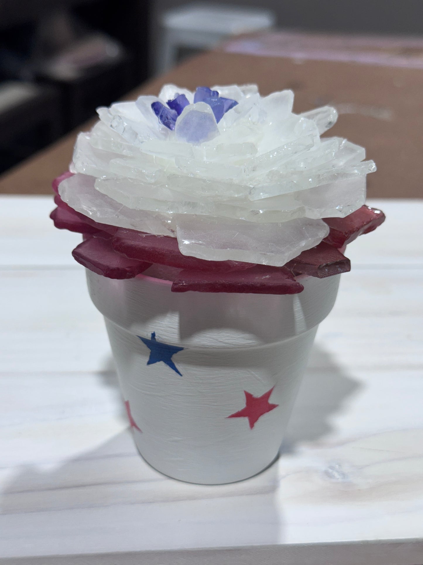 06/17/2026 6pm Wednesday Sea Glass Succulents/Tree Workshop