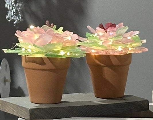 04/04 11am Sea Glass Succulents or Sea Glass Tree Workshop