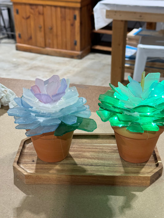 Glass Succulent 2