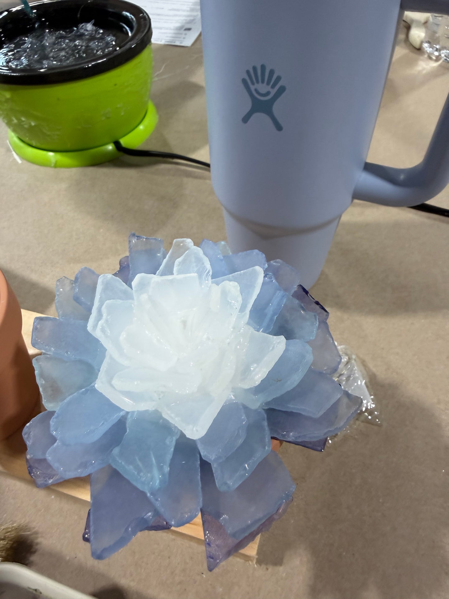 09/11/2026 6pm  Sea Glass Succulents/Tree Workshop