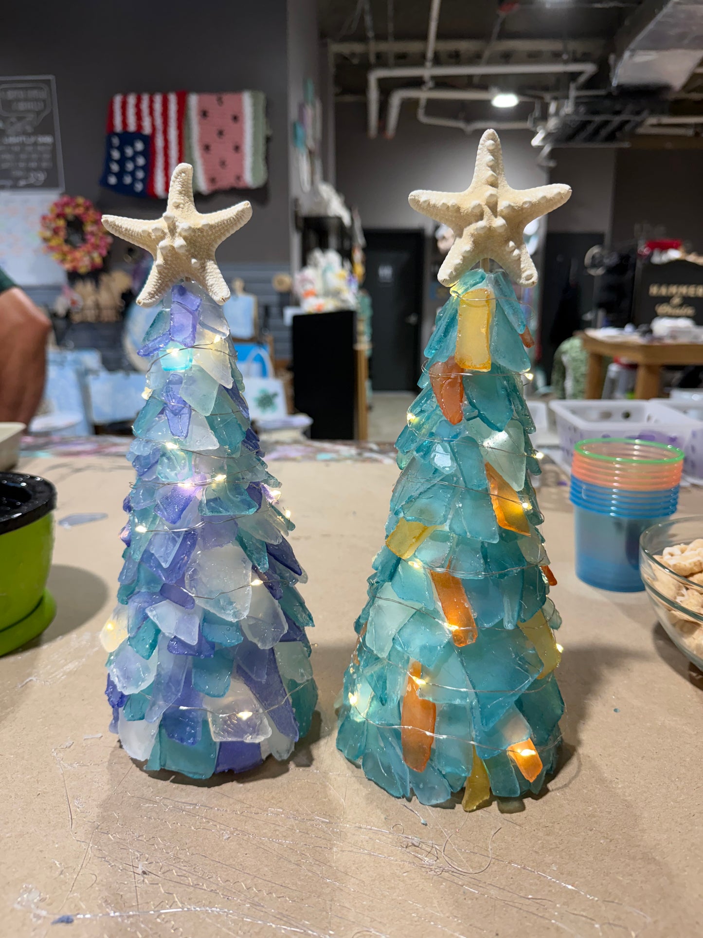 09/11/2026 6pm  Sea Glass Succulents/Tree Workshop