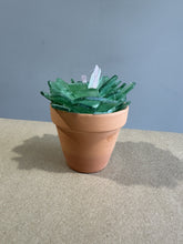 Sea Glass Succulent