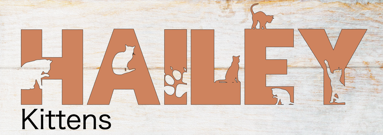 04/18 4:30pm Maahi's Birthday