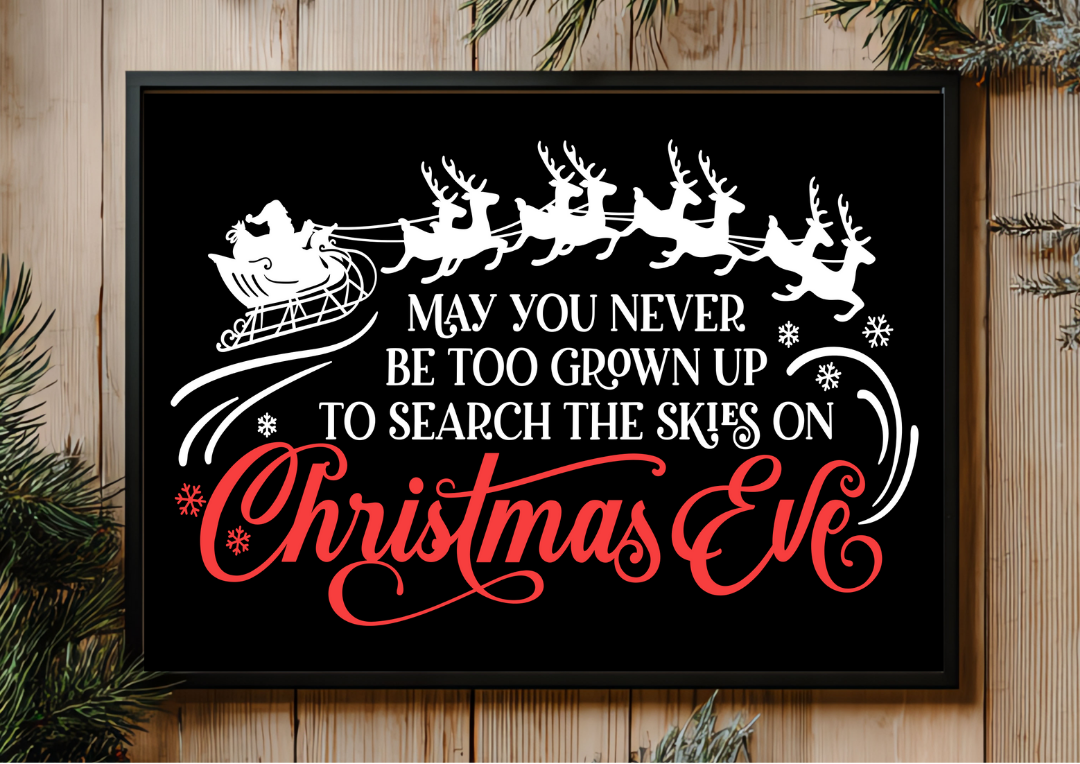 12/21 11am Pick Your Holiday Framed Project