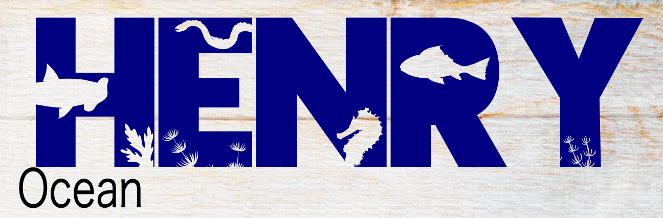 04/18 4:30pm Maahi's Birthday