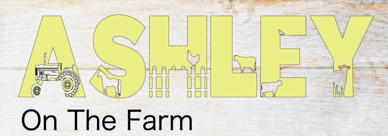 04/18 4:30pm Maahi's Birthday