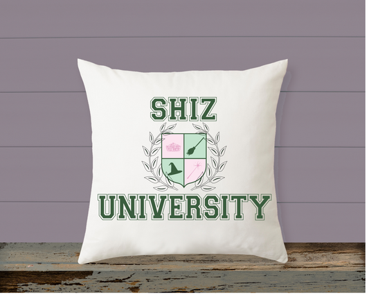 11/09 11am Cassie's 10th Birthday Pillow Party